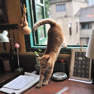 无尽❌裸体❌扶她❌❌爆乳
